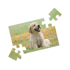Puzzles